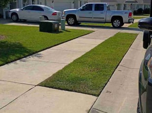Debora R.'s lawn maintenance service result