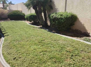 Jose V.'s grass cutting service result
