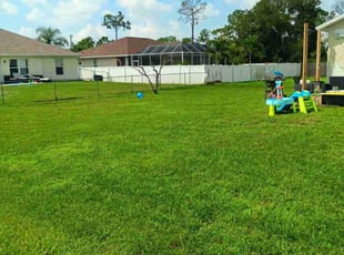 Karen M.'s turf care service result