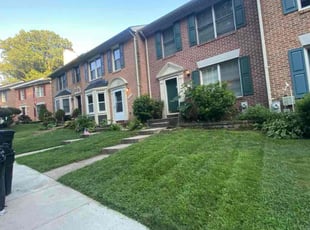 Vince C.'s grass cutting service result