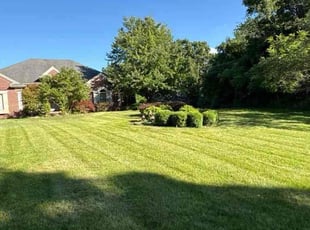 Geraldine L.'s grass maintenance service result