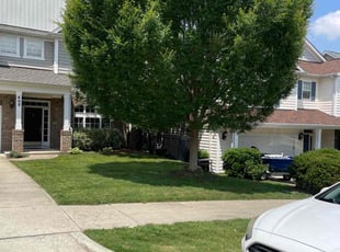 Megan W.'s turf maintenance service result