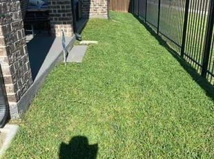 Jimmy W.'s lawn care service result