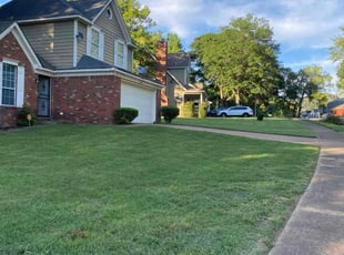 Brianna G.'s grass maintenance service result