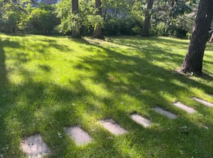 Nancy H.'s lawn maintenance service result