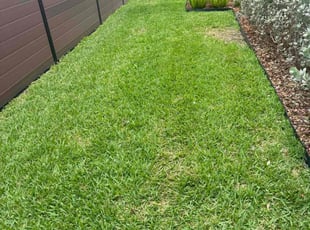Chad F.'s lawn service service result