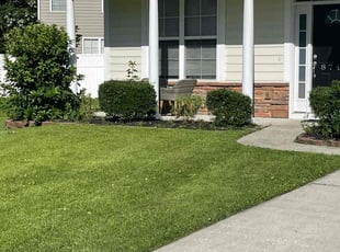 Shona R.'s lawn care service result