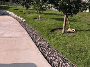 Lakita B.'s grass maintenance service result