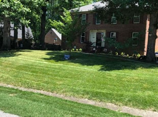 Tyler C.'s turf care service result