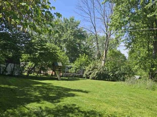 Luann D.'s lawn care service result