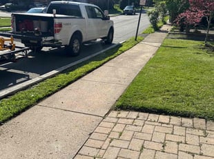 Renato C.'s lawn care service result