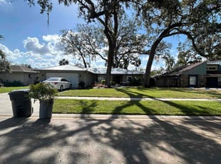 Roger M.'s turf care service result