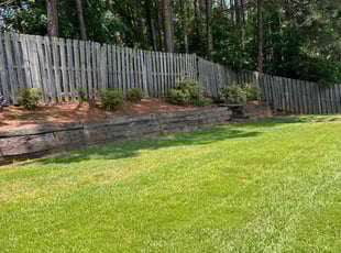 Carla B.'s lawn care service result