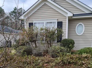 Norvell C.'s Bush Trimming service result