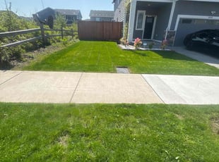 Cindy F.'s grass cutting service result