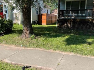 Maritza A.'s turf maintenance service result