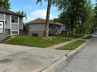 Peggy D.'s turf maintenance service result