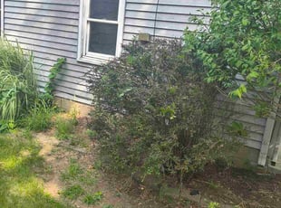 Beverly W.'s Bush Trimming service result