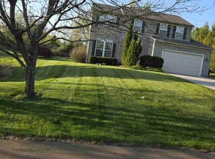 Remy W.'s lawn care service result