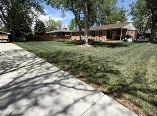 Richard B.'s turf maintenance service result