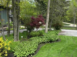 Cynthia L.'s grass maintenance service result