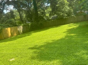 Melvina B.'s lawn care service result