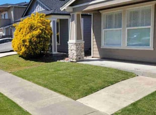 Christina G.'s grass maintenance service result