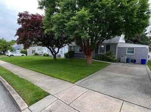 Sheila H.'s lawn service service result