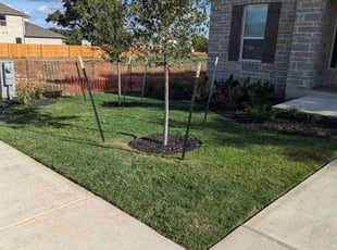 Cheri B.'s lawn care service result