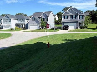 Renee C.'s grass maintenance service result