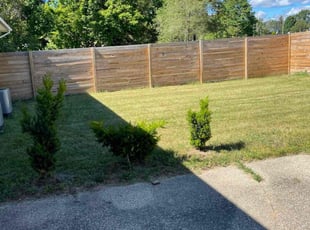 Luanne R.'s grass maintenance service result