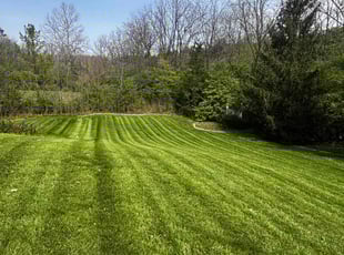 Pete P.'s turf maintenance service result