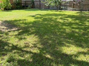 Vernon H.'s turf care service result