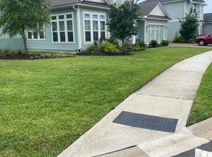 Tina F.'s lawn maintenance service result