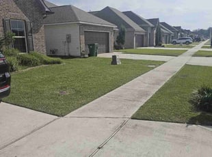 Shannon B.'s lawn care services service result