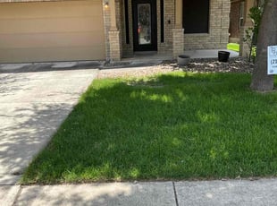 Cameron E.'s turf maintenance service result