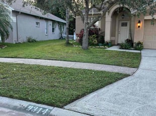 Matthew S.'s lawn service service result