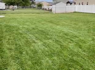 David V.'s lawn care service result