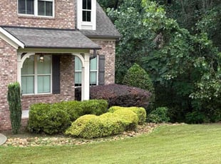 Daniel P.'s Bush Trimming service result