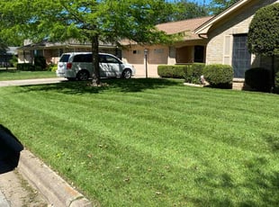 Steven A.'s lawn care service result