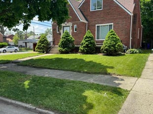 Khadija S.'s lawn maintenance service result