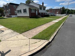 Scott E.'s turf maintenance service result