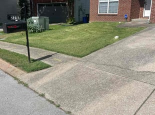 Joana L.'s lawn care services service result