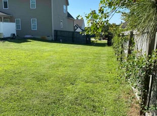 Carol T.'s lawn care services service result