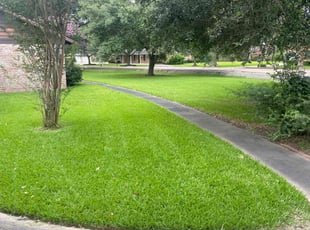 Ernesto R.'s lawn care service result