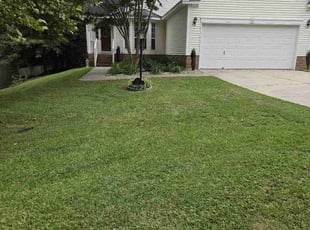 Octavian K.'s lawn maintenance service result