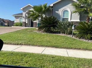 Nilza L.'s grass cutting service result