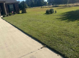 Kelley L.'s lawn care service result