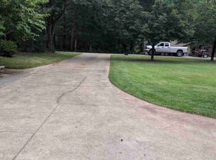 Mark A.'s grass cutting service result