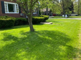 Esther W.'s lawn care service result